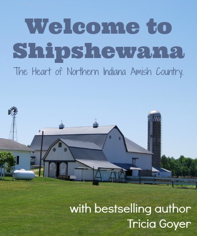 Shipshewana, Indiana | A trip into Amish Country